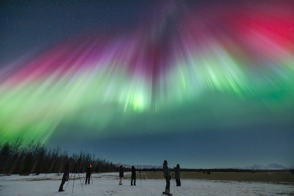 Wide panoramic view of intense aurora borealis display with green and magenta curtains dancing over snow-covered Alaska wilderness landscape
