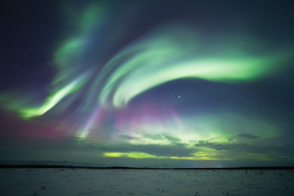 Vibrant green and magenta aurora borealis swirling across the night sky over a snow-covered landscape, captured using real-time northern lights forecast in Alaska during a Face The Outdoors photography workshop near Fairbanks.