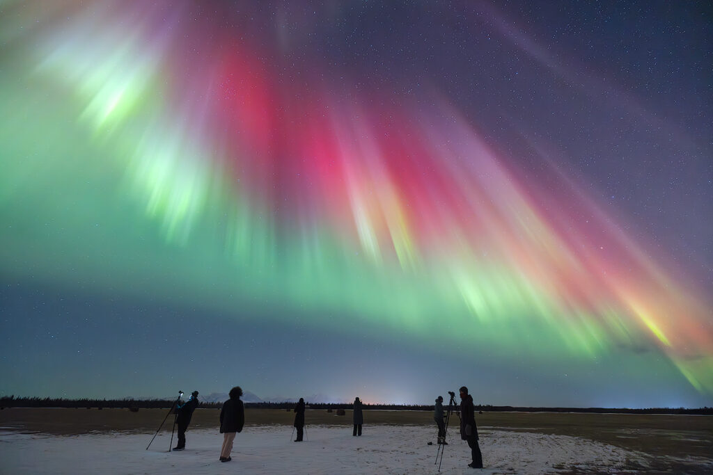 Spectacular multi-colored aurora display with green purple and pink bands sweeping across clear February sky near Fairbanks the locals favorite time for northern lights viewing