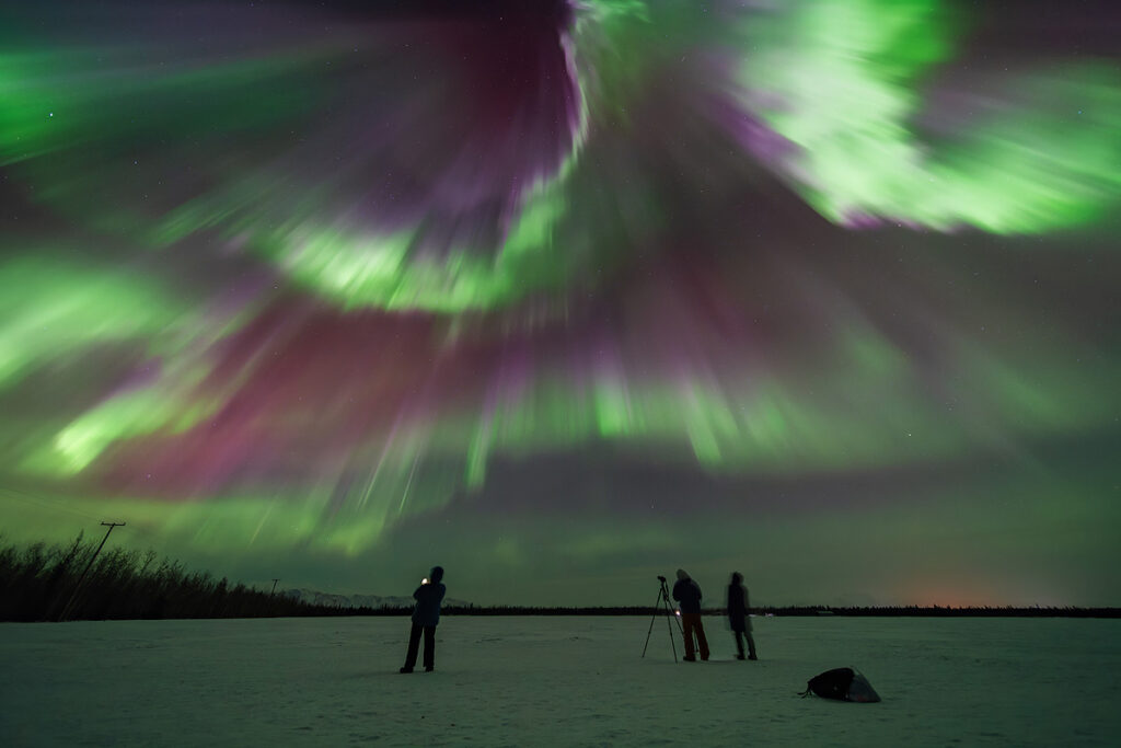 Spectacular northern lights display during a multi-night aurora tour near Fairbanks with vivid green and purple curtains overhead 