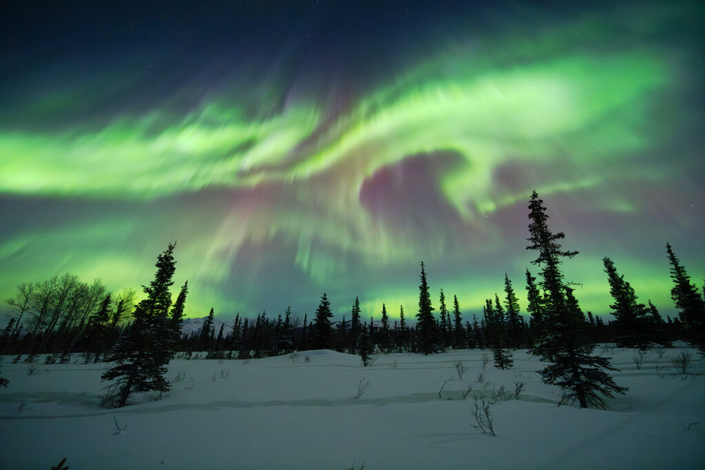 Stunning northern lights display over Alaska — check the aurora forecast and see the northern lights tonight with the right preparation