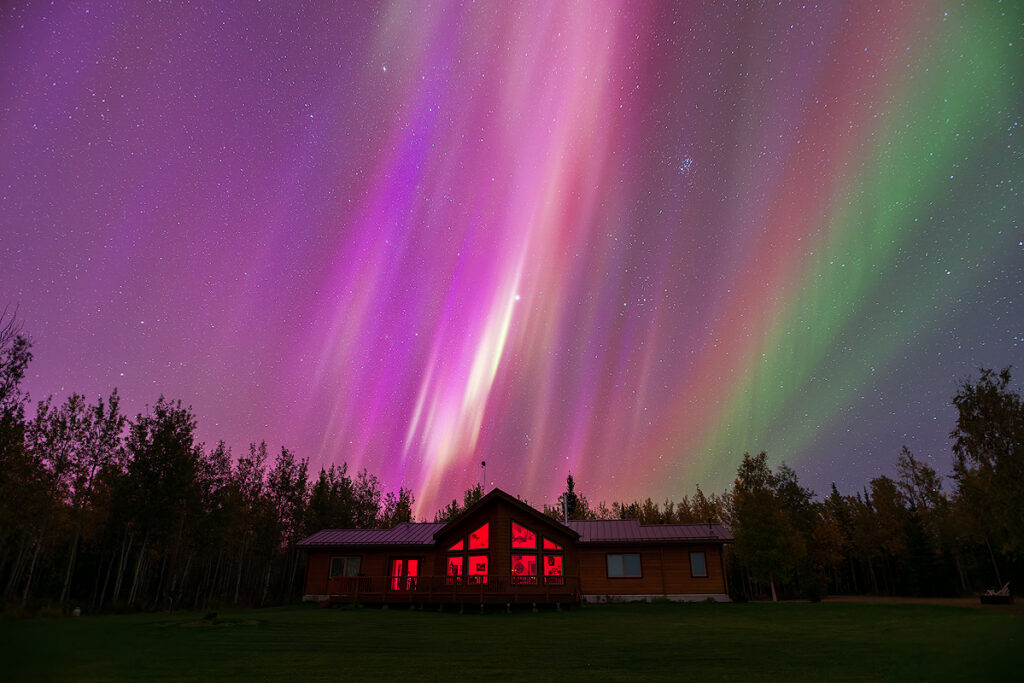 Vivid green and purple aurora borealis display over Face The Outdoors private lodge field in Interior Alaska during the best northern lights tour Fairbanks