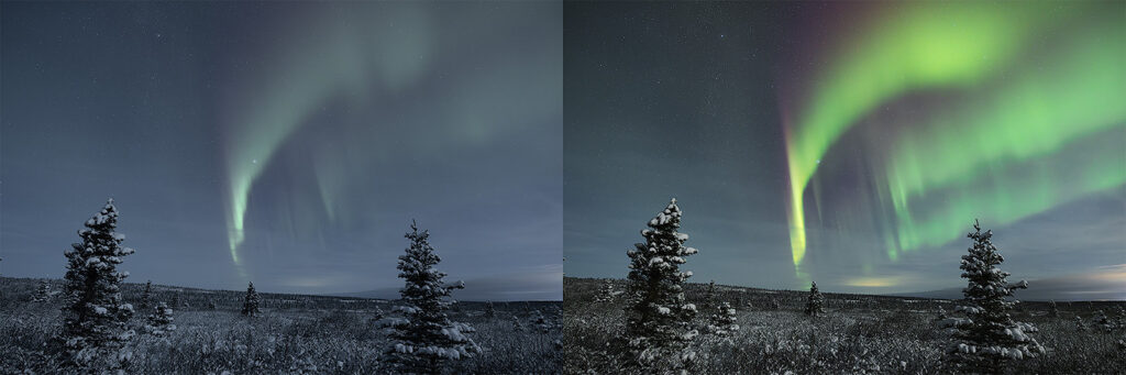 Northern lights look different in photos — vivid long-exposure aurora display compared to what the naked eye sees in Fairbanks Alaska