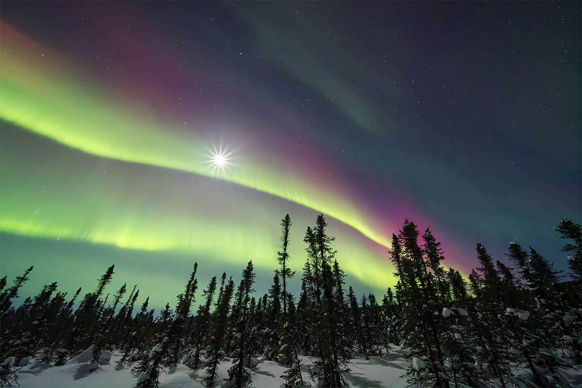 Bright moon and green aurora over moonlit spruce forest in interior Alaska